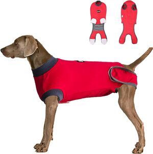 Red L Dog Recovery Suit - After Surgery Cone Alternative for Female & Male Dogs